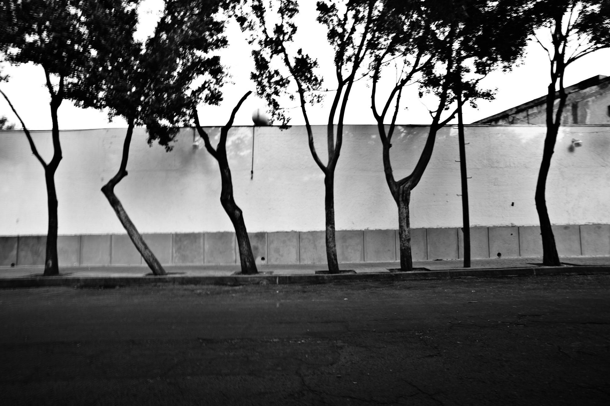 colonia escandon — PLACES by Robin Cerutti